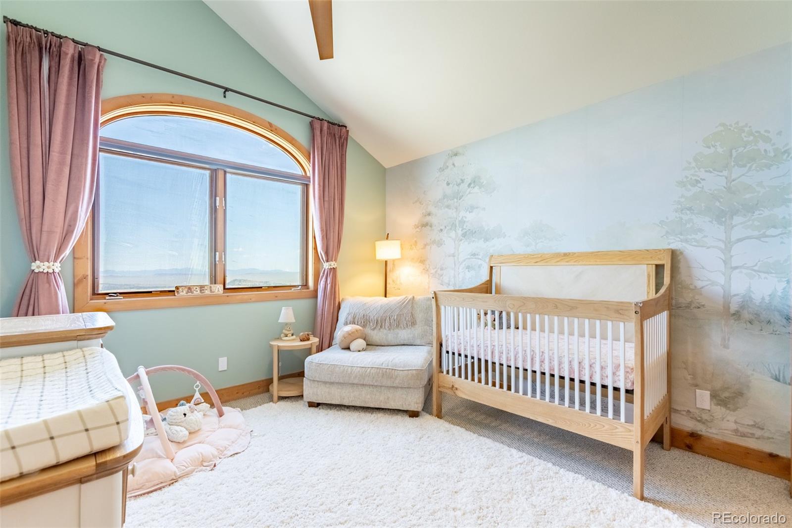 MLS Image #22 for 1563  pitchfork road,hartsel, Colorado