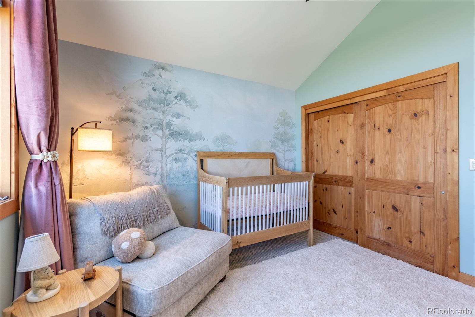 MLS Image #23 for 1563  pitchfork road,hartsel, Colorado
