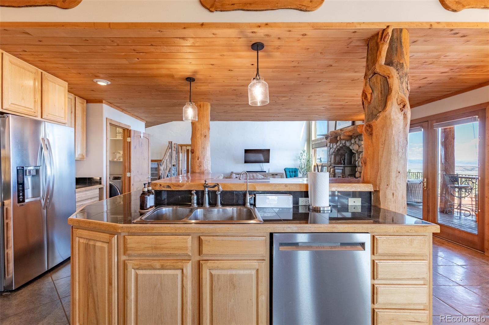MLS Image #5 for 1563  pitchfork road,hartsel, Colorado