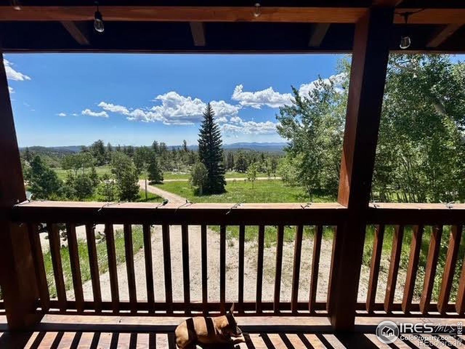 MLS Image #11 for 543  jicarilla trail,red feather lakes, Colorado