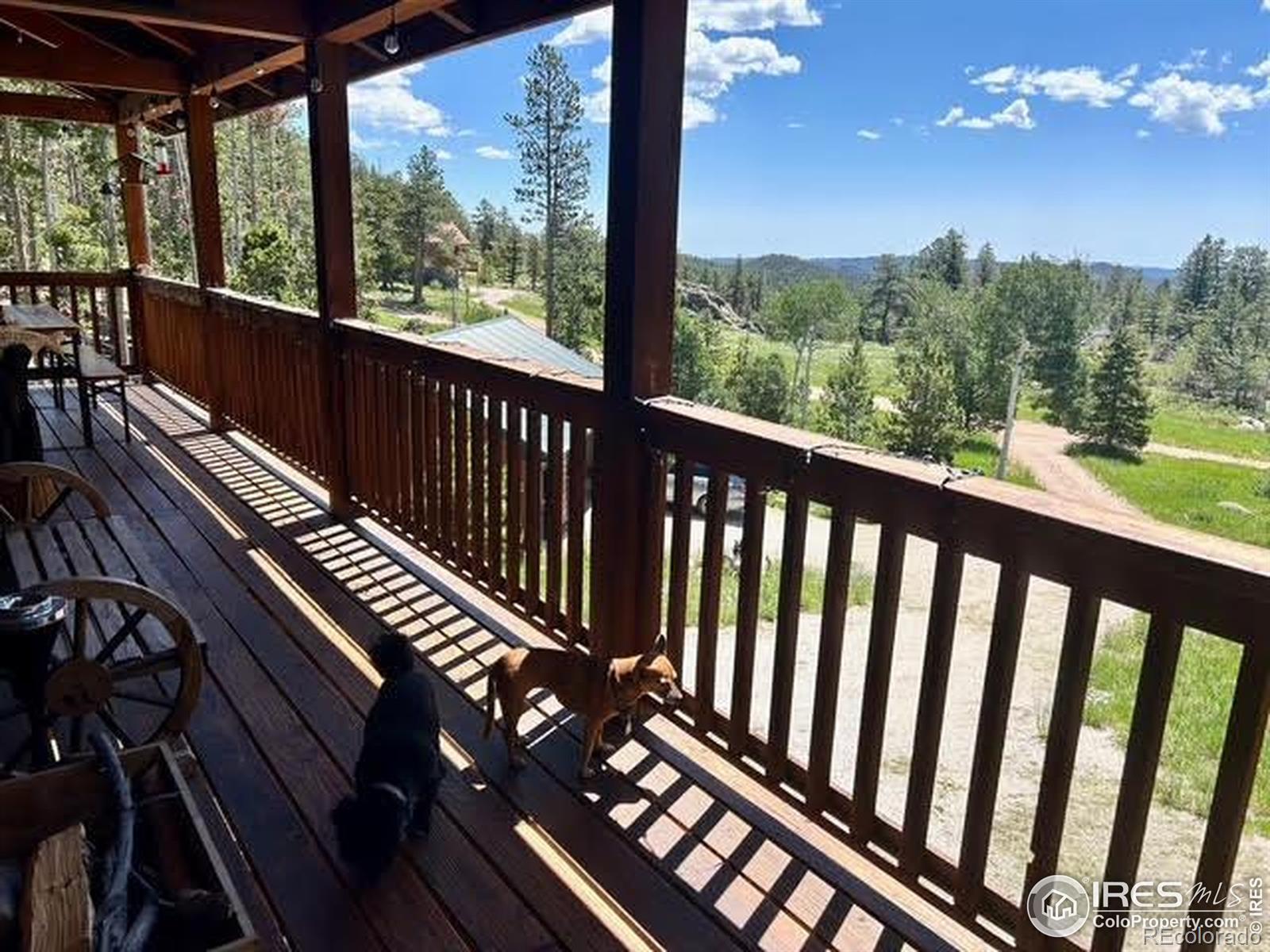 MLS Image #12 for 543  jicarilla trail,red feather lakes, Colorado