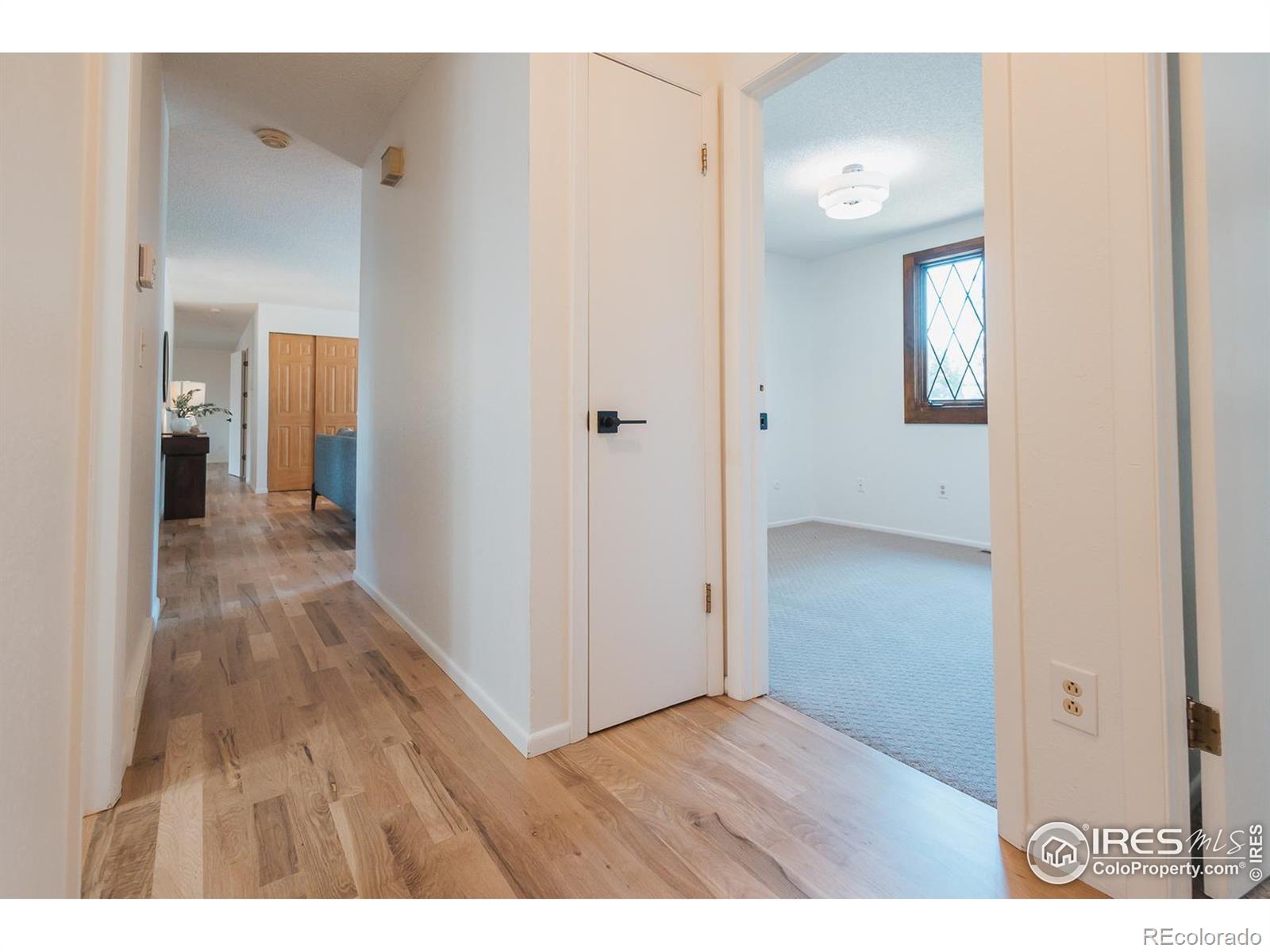 MLS Image #14 for 807  winchester drive,fort collins, Colorado