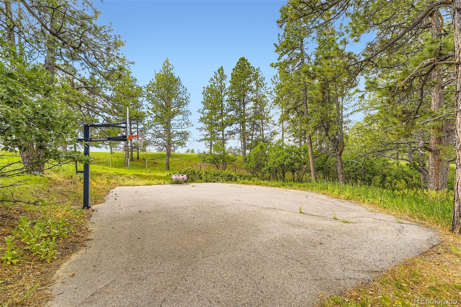 MLS Image #41 for 11274 e manitou road,franktown, Colorado