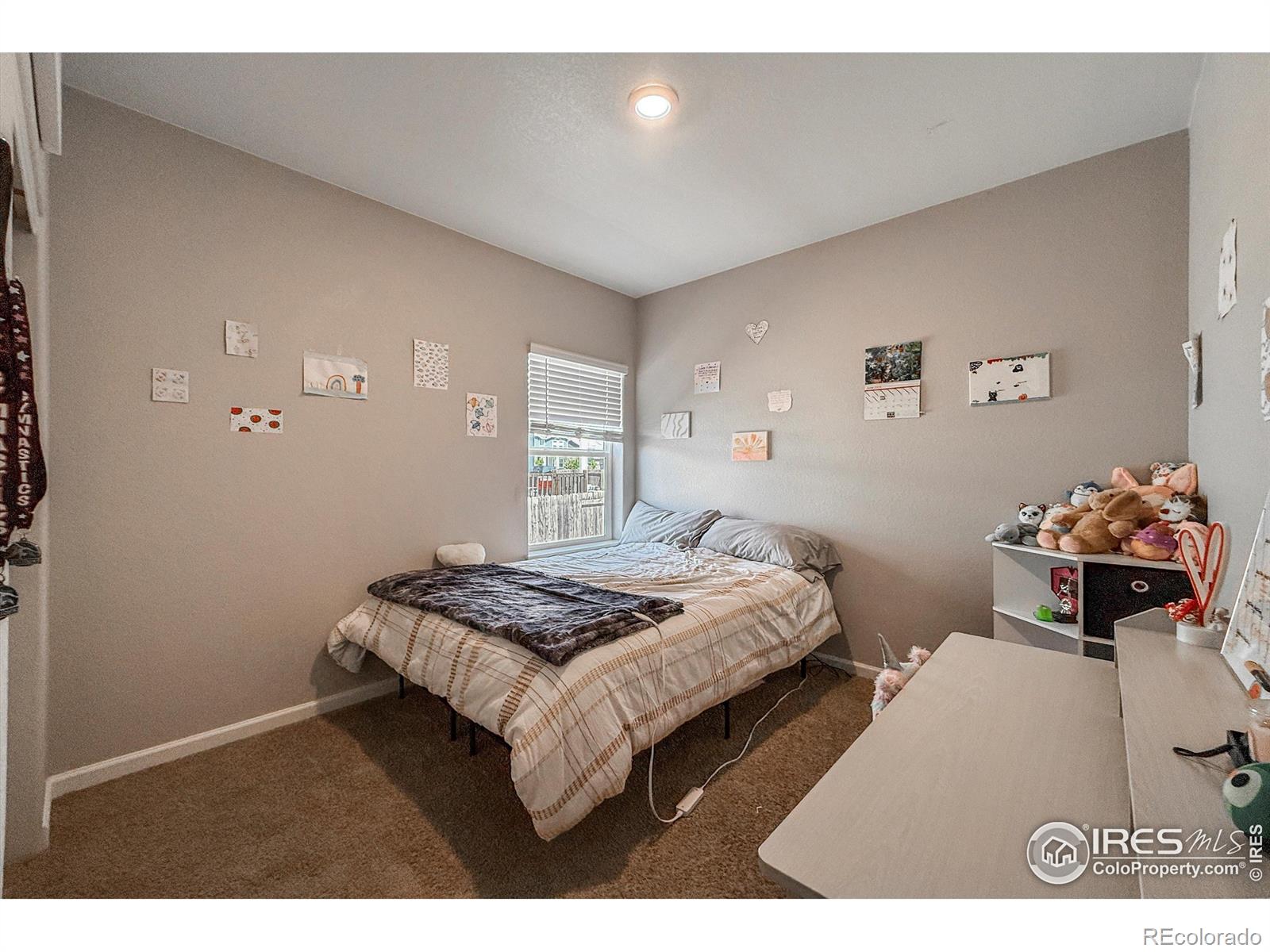 MLS Image #19 for 2287  murray street,mead, Colorado