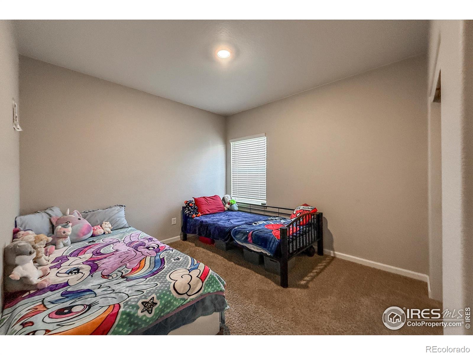 MLS Image #21 for 2287  murray street,mead, Colorado