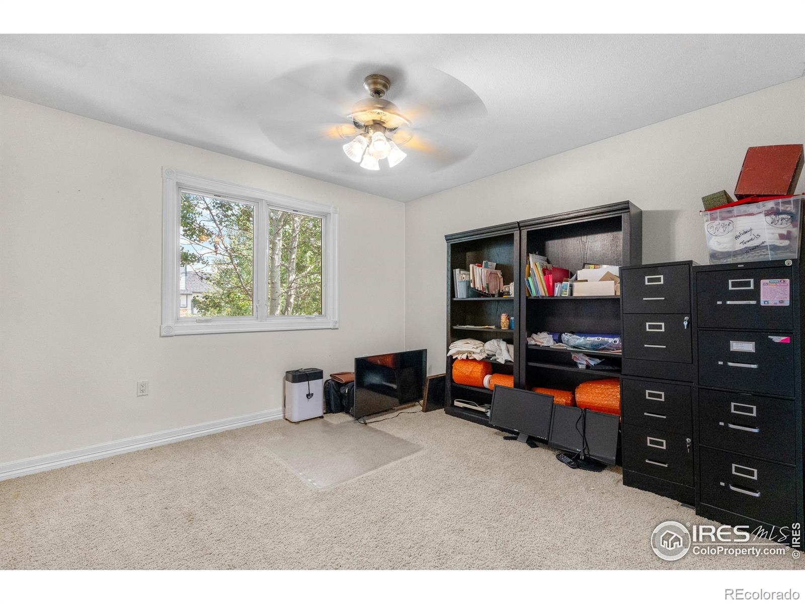 MLS Image #16 for 9147  harlequin circle,longmont, Colorado