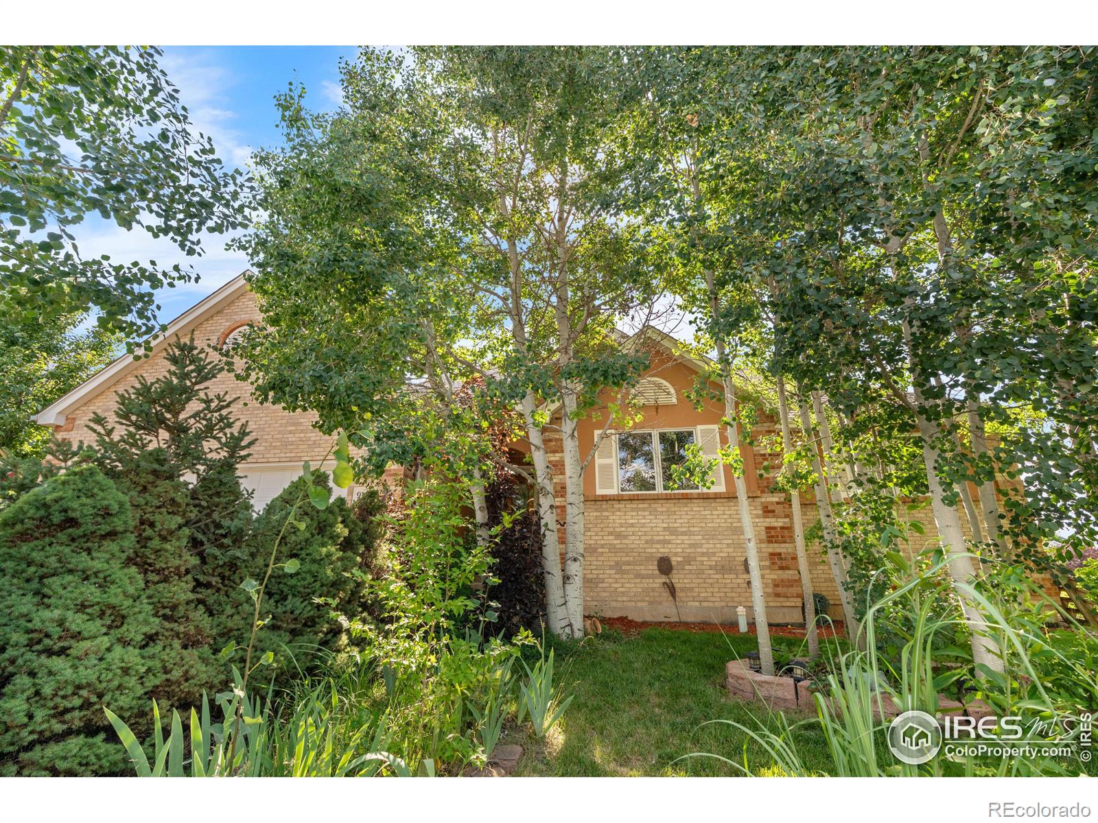MLS Image #2 for 9147  harlequin circle,longmont, Colorado