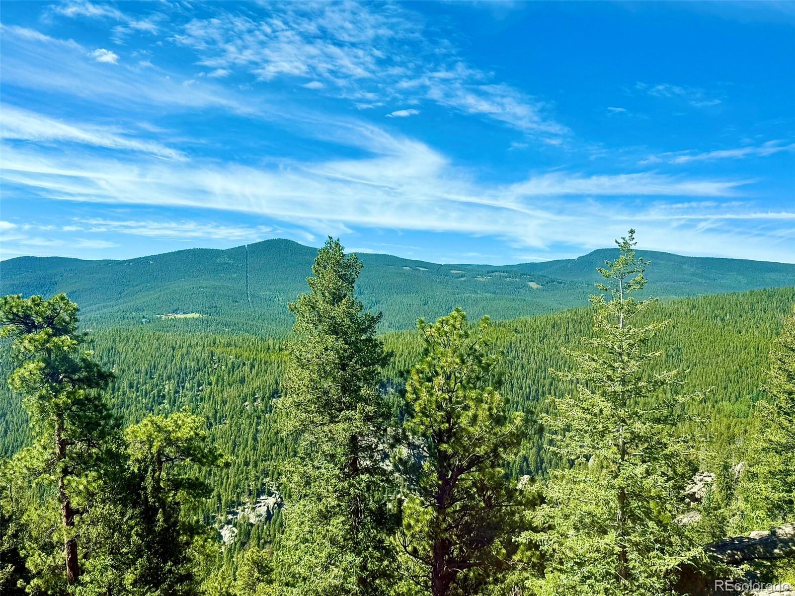 MLS Image #36 for 1460  aspen drive,evergreen, Colorado