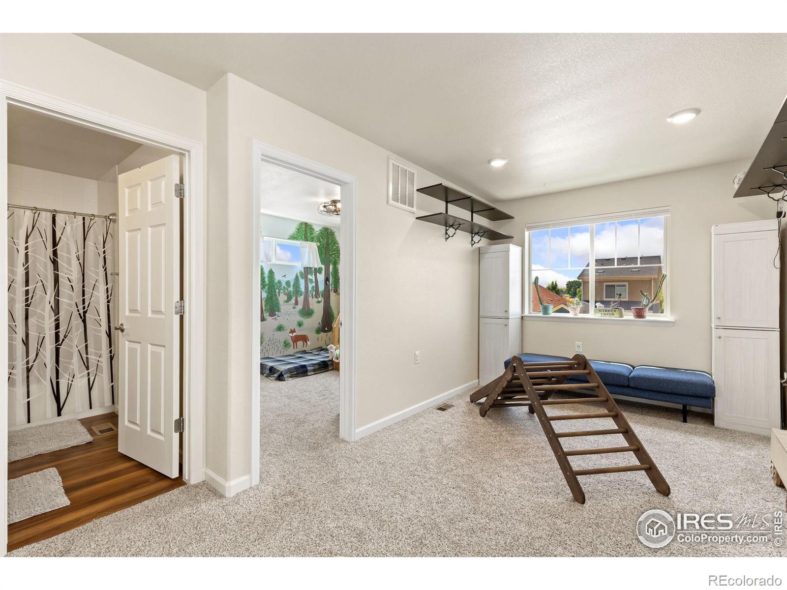 MLS Image #10 for 57  avocet court,longmont, Colorado