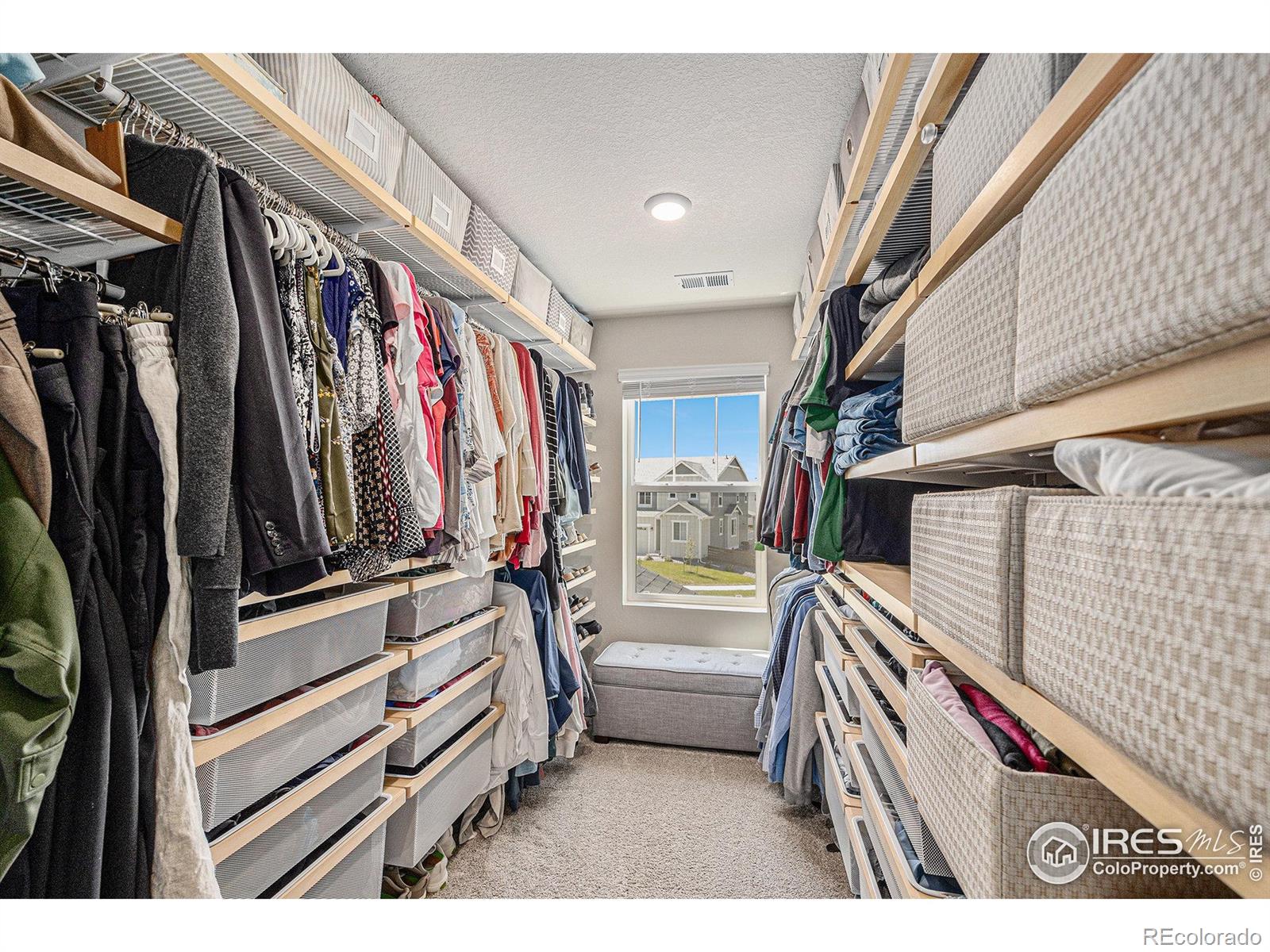 MLS Image #18 for 952  alpine ridge street,erie, Colorado
