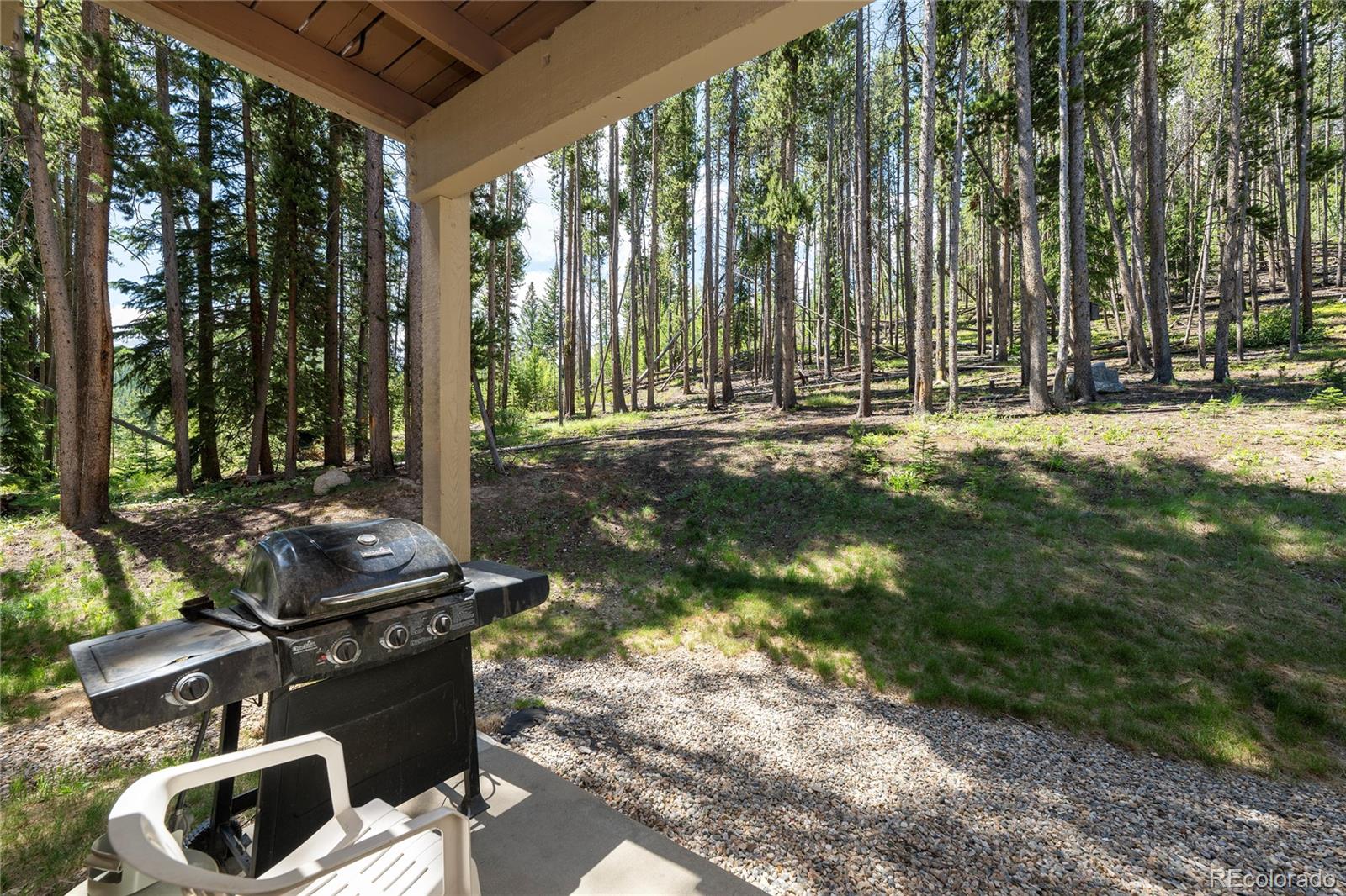 MLS Image #21 for 40  40 gcr 702 ,winter park, Colorado