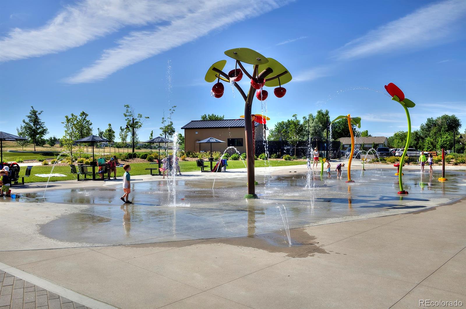 MLS Image #48 for 188  northrup drive,erie, Colorado