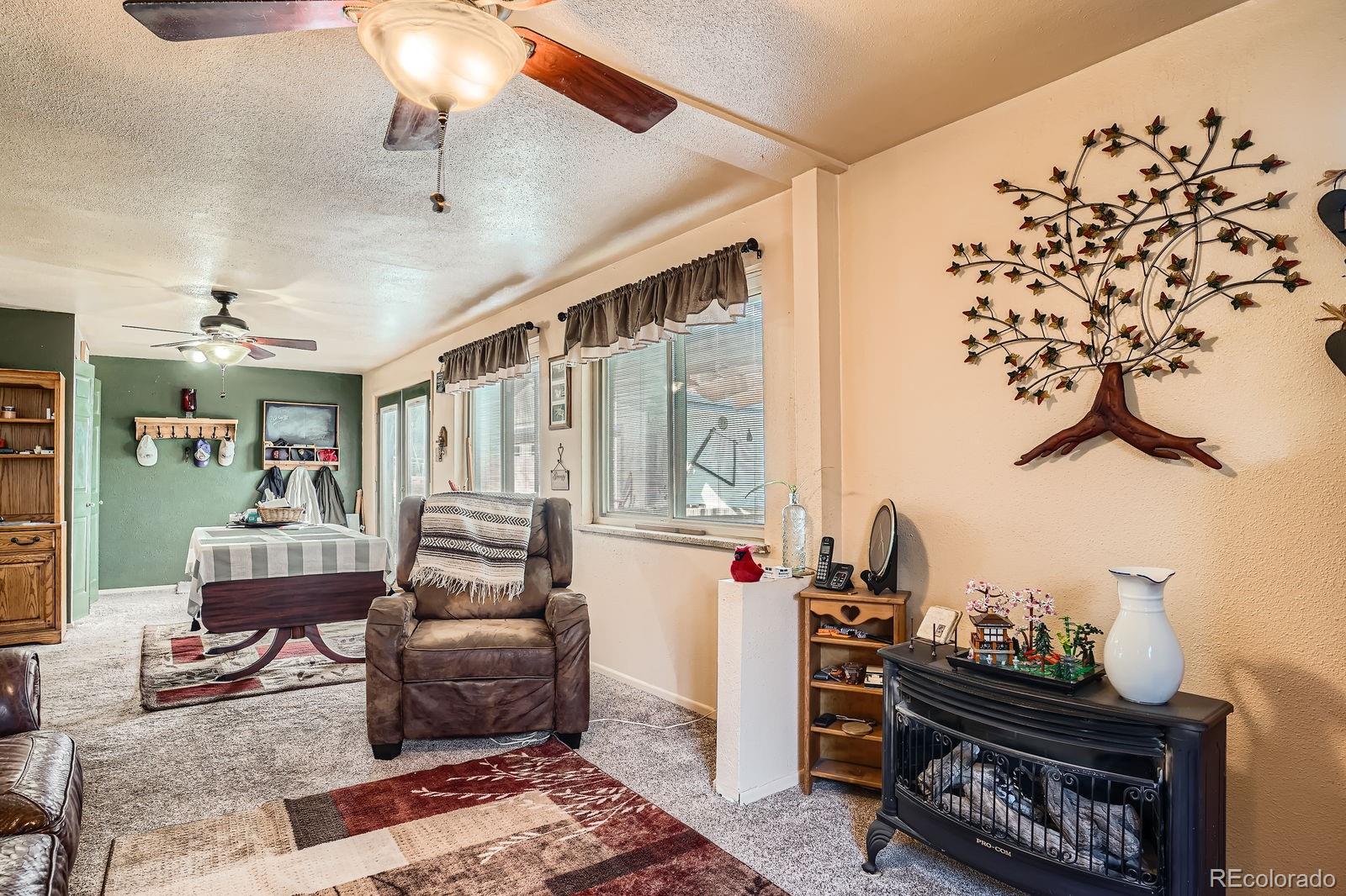 MLS Image #10 for 8510  faraday street,denver, Colorado