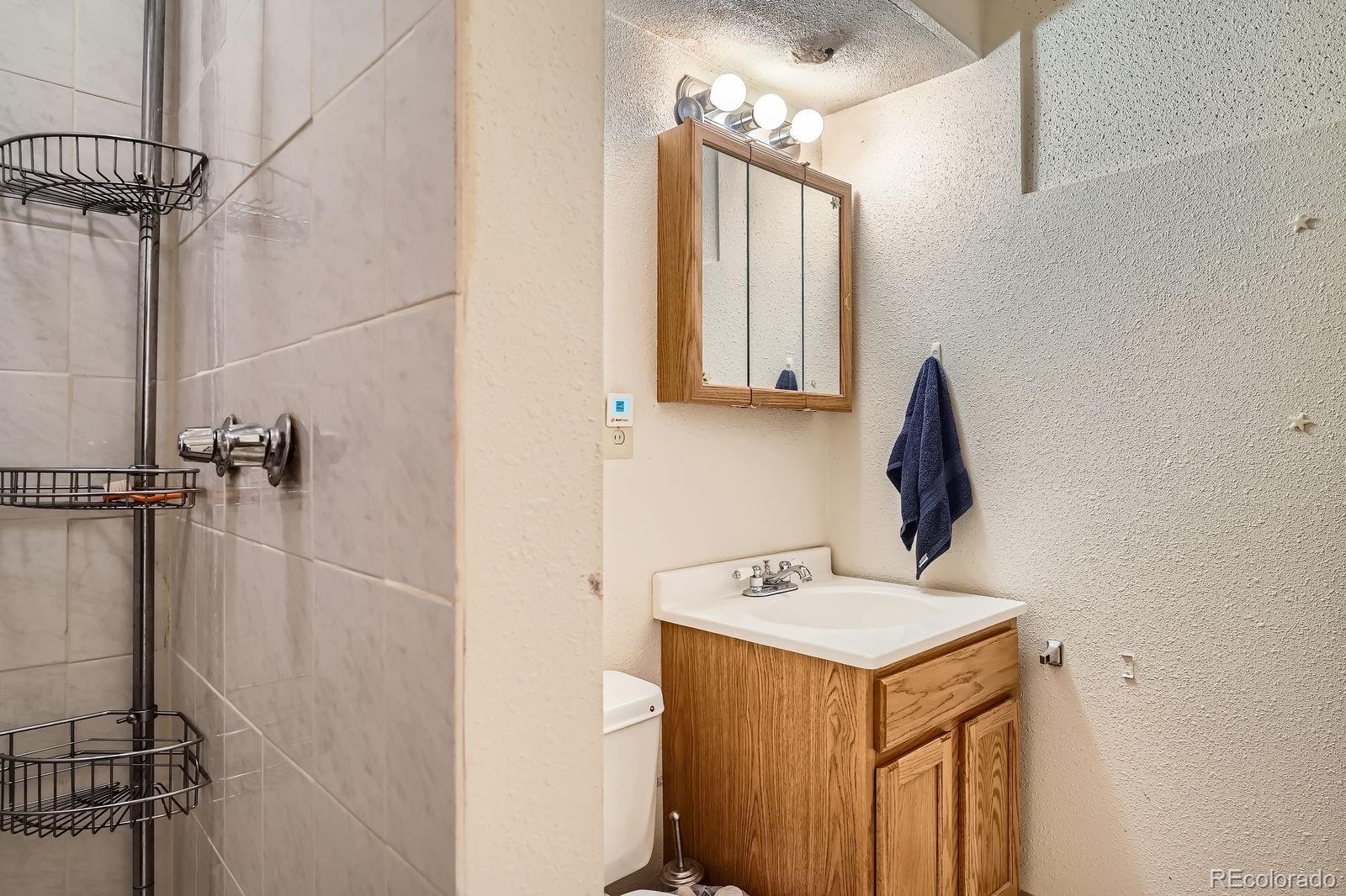 MLS Image #20 for 8510  faraday street,denver, Colorado