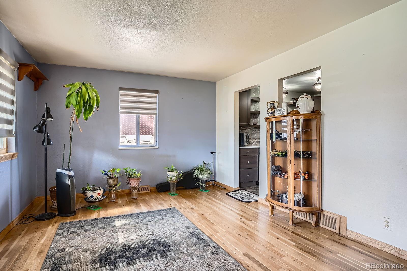 MLS Image #8 for 8510  faraday street,denver, Colorado