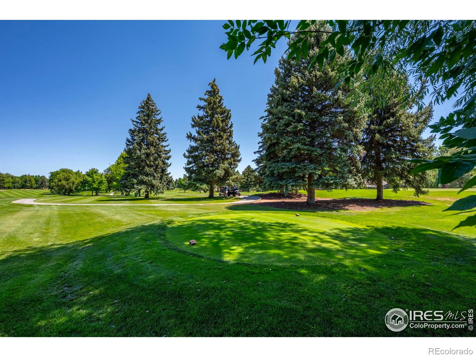 MLS Image #9 for 4398  carter trail,boulder, Colorado
