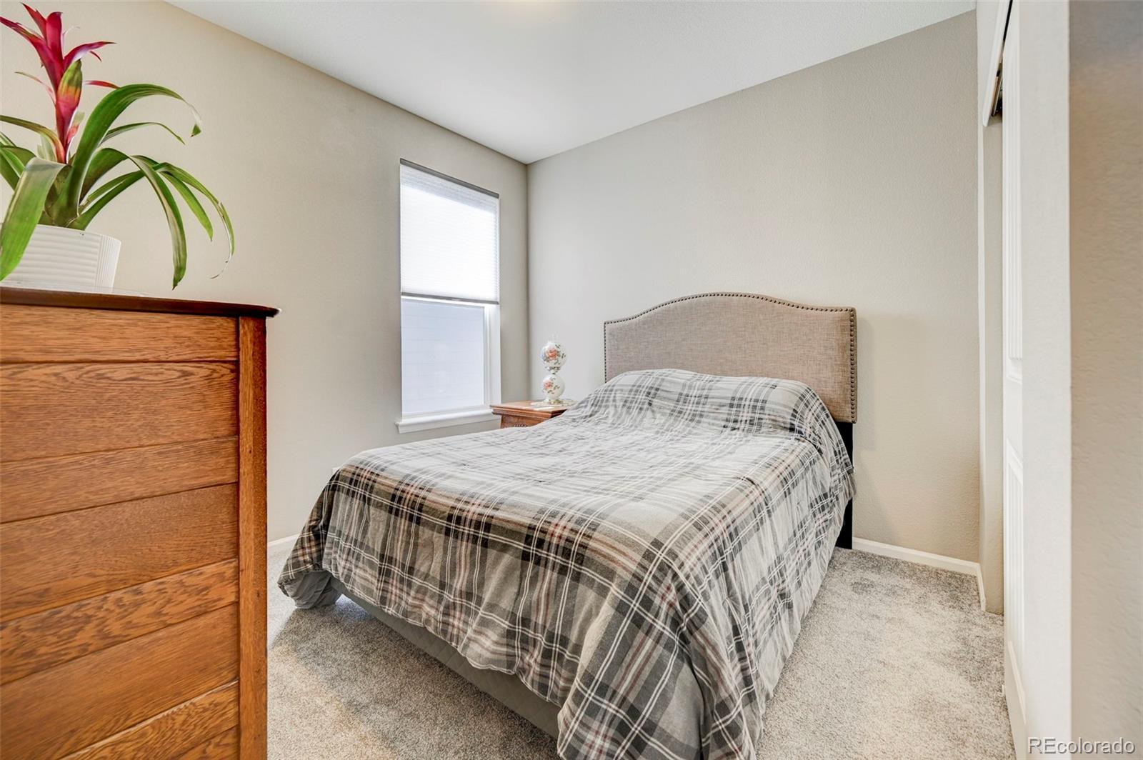 MLS Image #18 for 6228  dapplegray street,parker, Colorado