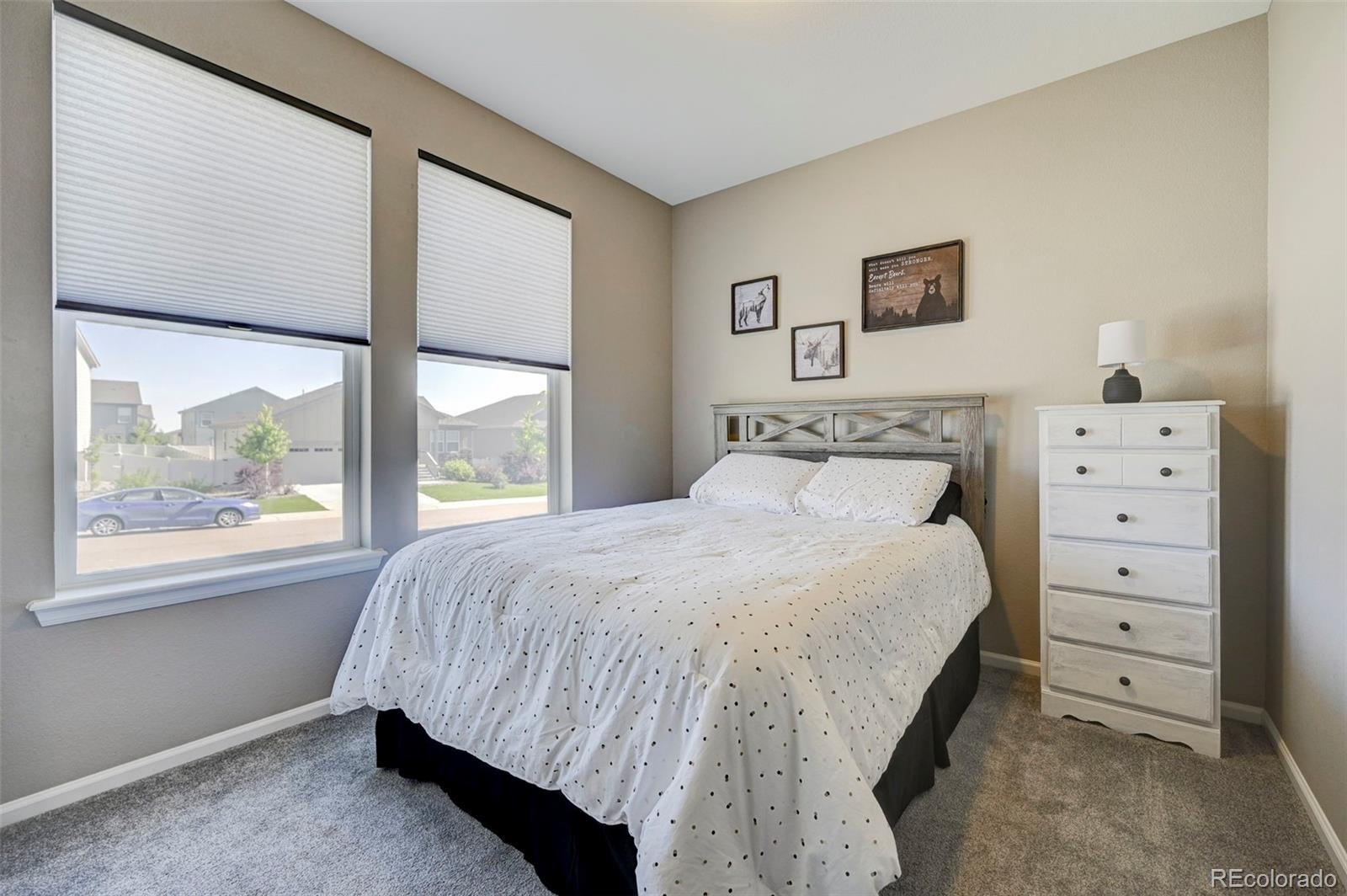 MLS Image #21 for 6228  dapplegray street,parker, Colorado