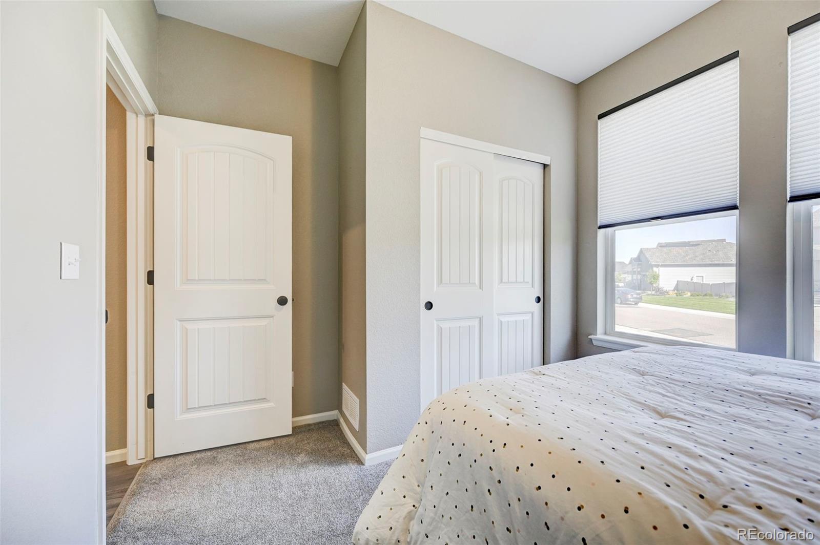 MLS Image #22 for 6228  dapplegray street,parker, Colorado