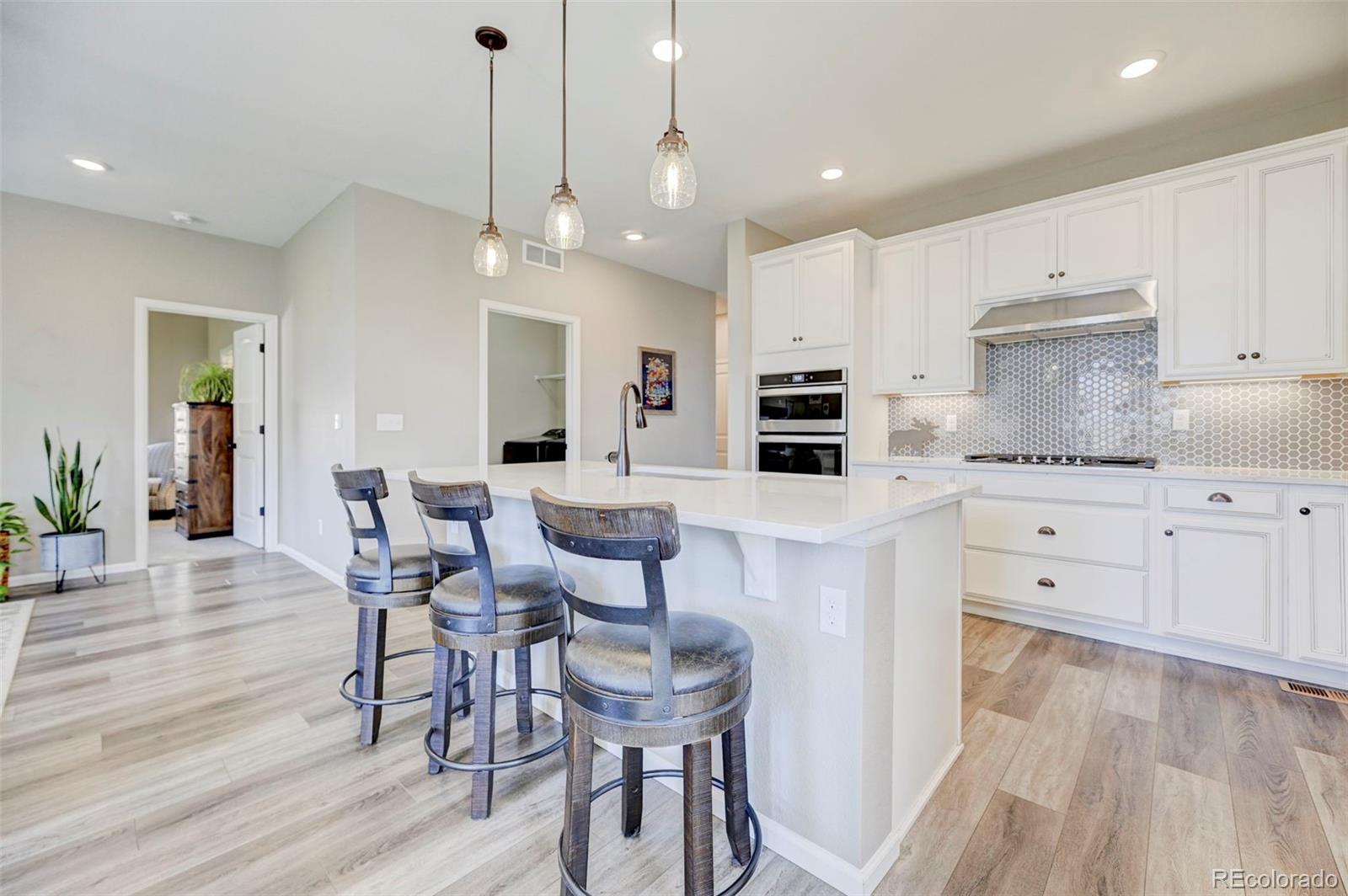 MLS Image #3 for 6228  dapplegray street,parker, Colorado