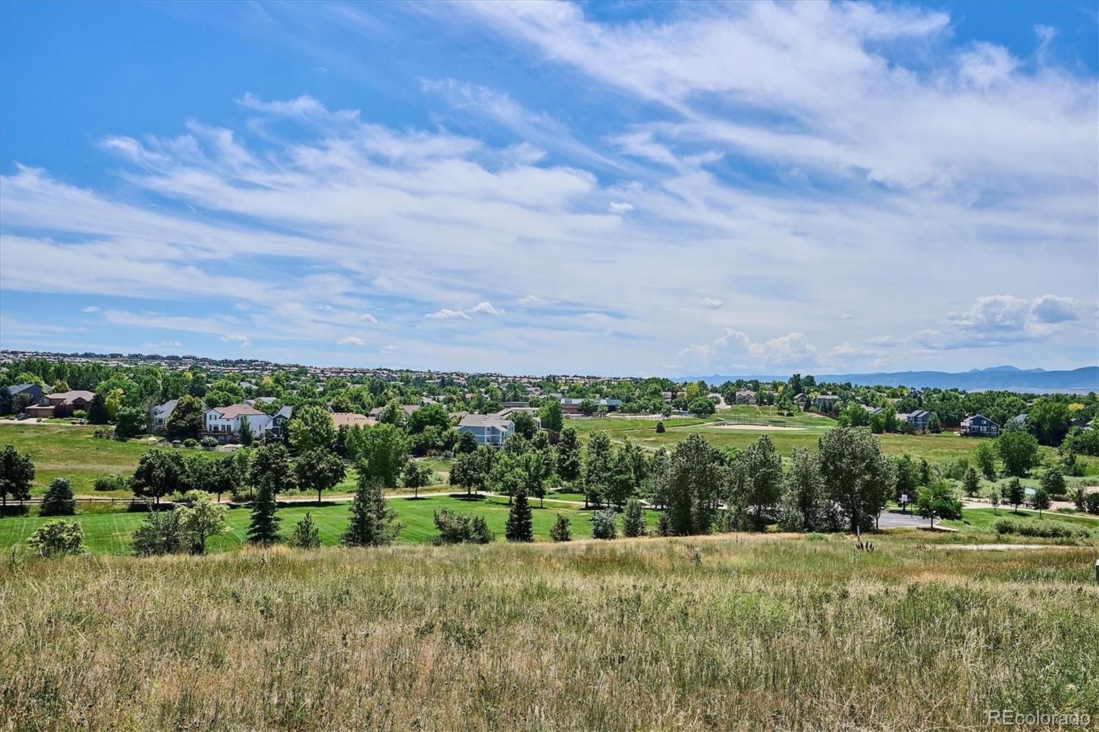 MLS Image #28 for 9875  poppy court,highlands ranch, Colorado