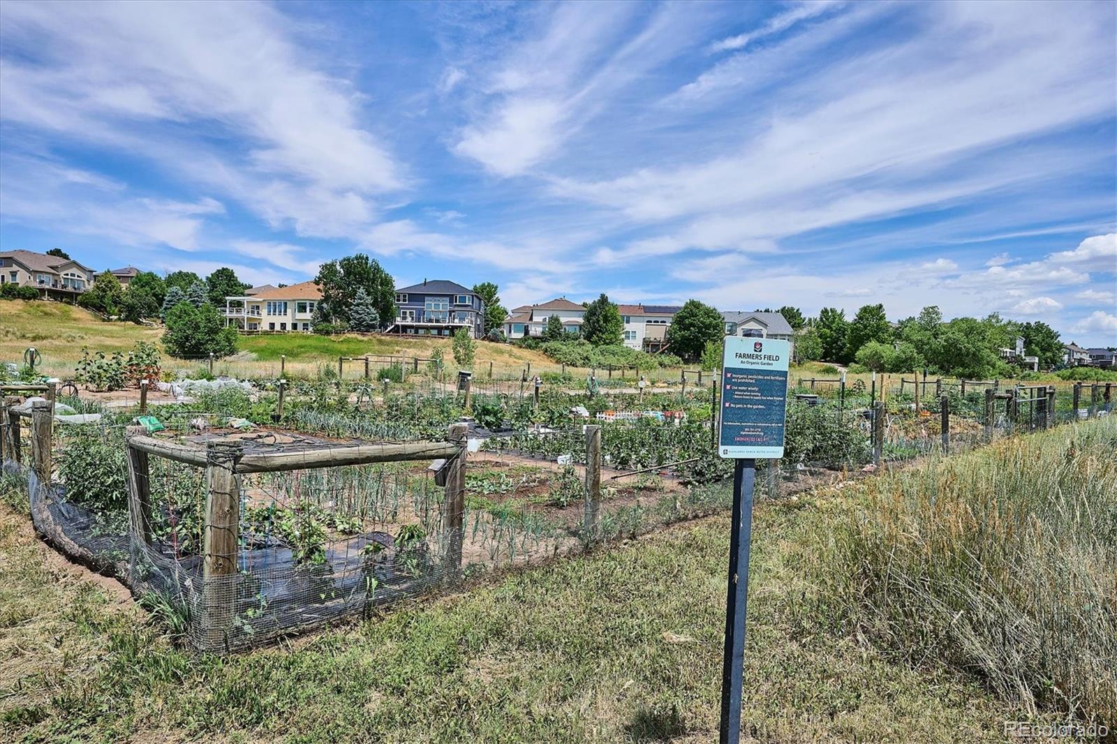 MLS Image #44 for 9875  poppy court,highlands ranch, Colorado