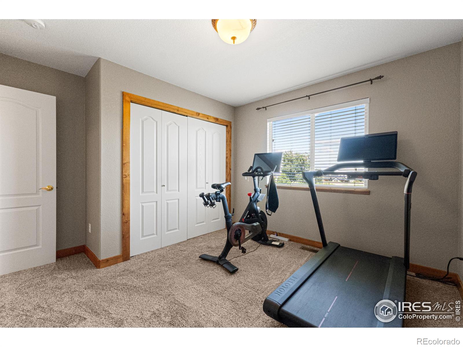 MLS Image #13 for 1787  gore creek court,windsor, Colorado