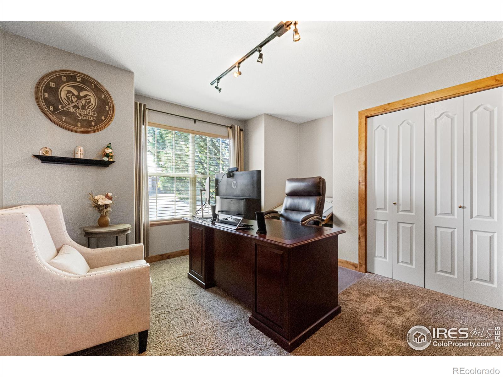 MLS Image #8 for 1787  gore creek court,windsor, Colorado