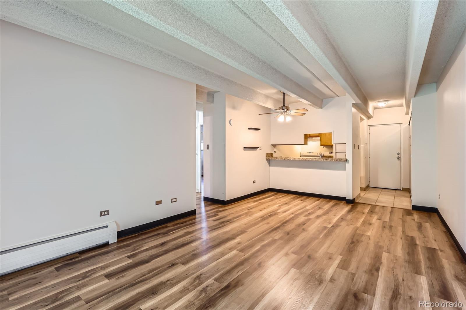 MLS Image #5 for 1265  elizabeth street,denver, Colorado
