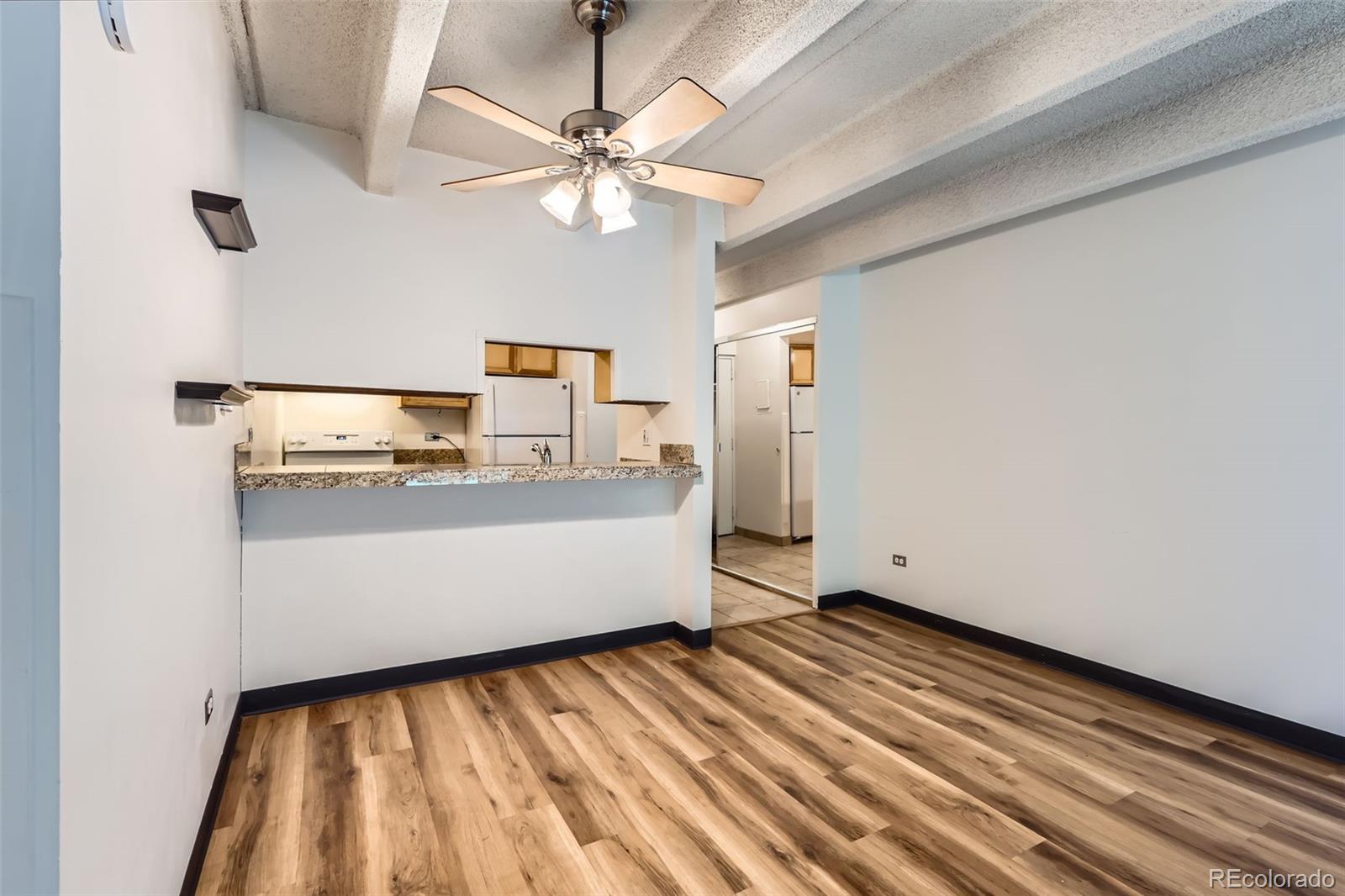 MLS Image #6 for 1265  elizabeth street,denver, Colorado