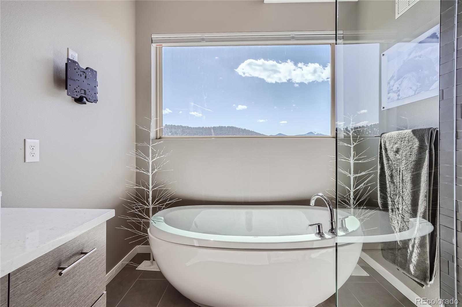 MLS Image #13 for 28424  tepees way,evergreen, Colorado