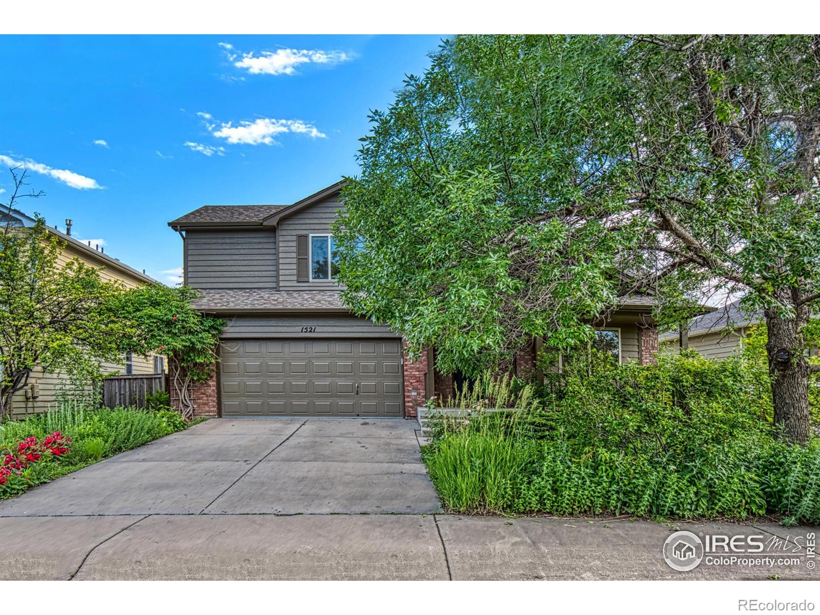 MLS Image #1 for 1521  ambrosia court,fort collins, Colorado
