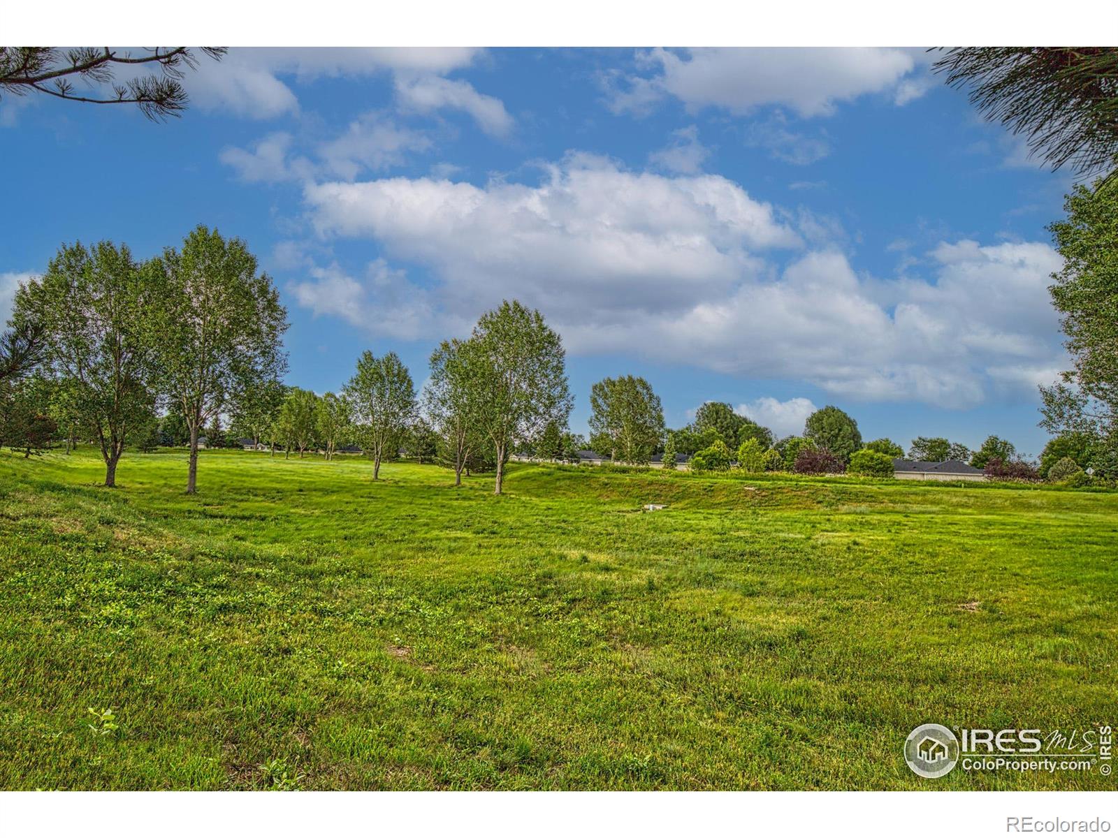 MLS Image #32 for 1521  ambrosia court,fort collins, Colorado