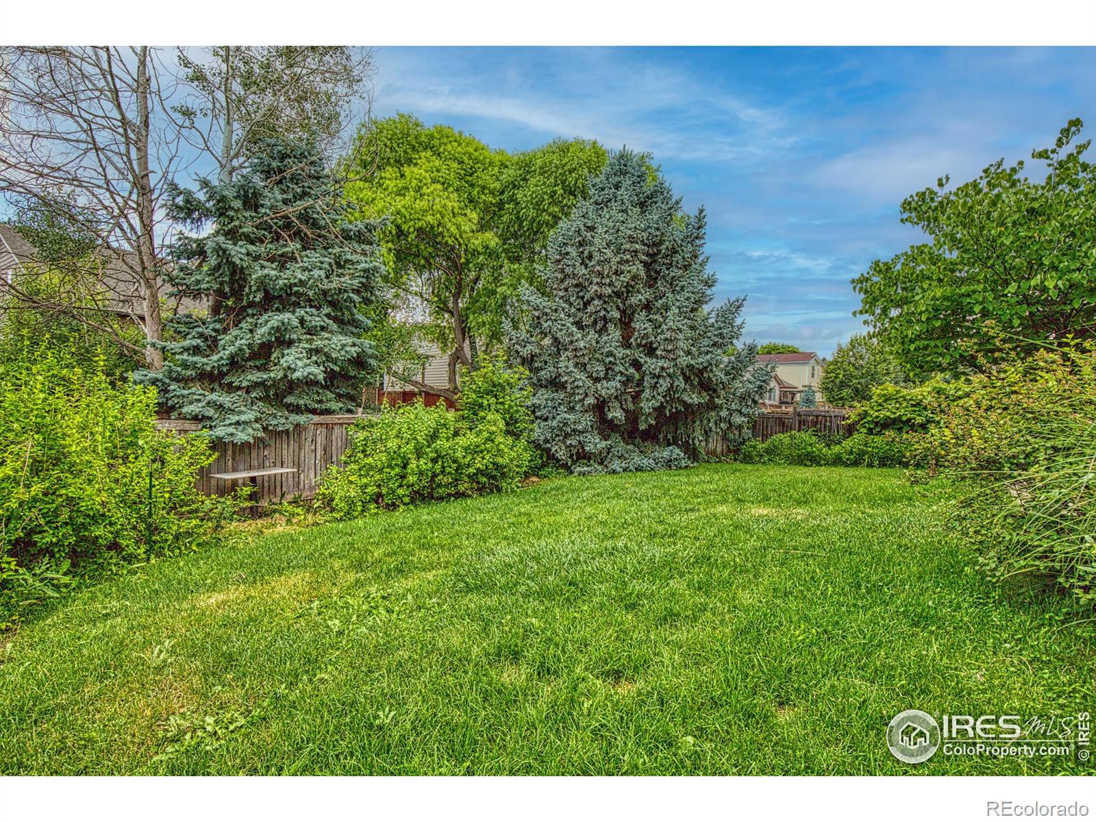 MLS Image #35 for 1521  ambrosia court,fort collins, Colorado