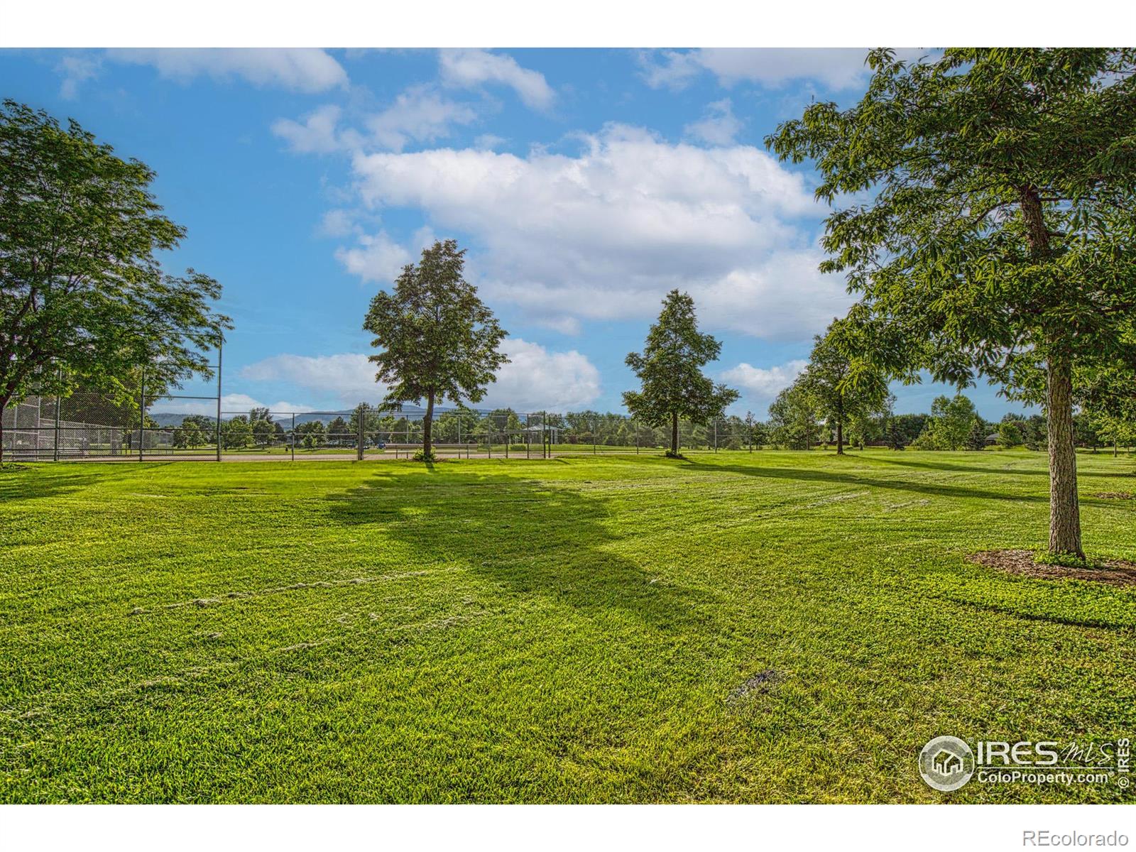 MLS Image #38 for 1521  ambrosia court,fort collins, Colorado