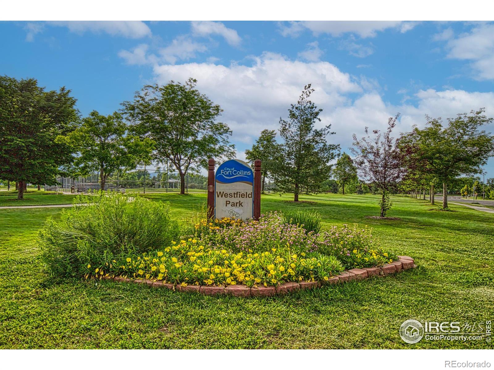MLS Image #39 for 1521  ambrosia court,fort collins, Colorado
