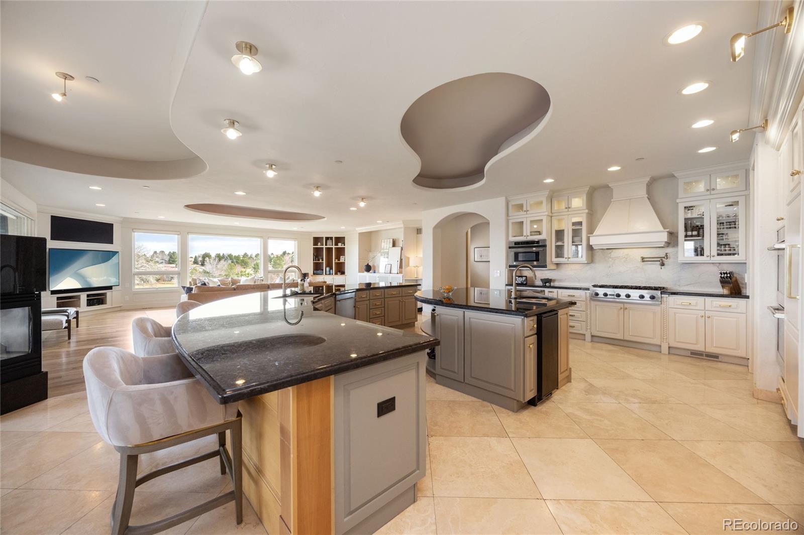 MLS Image #10 for 2421  ranch reserve ridge,denver, Colorado