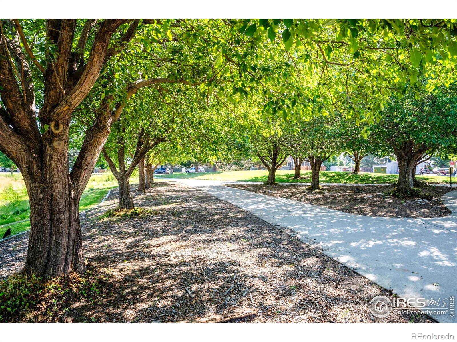 MLS Image #27 for 7050  warren drive,denver, Colorado