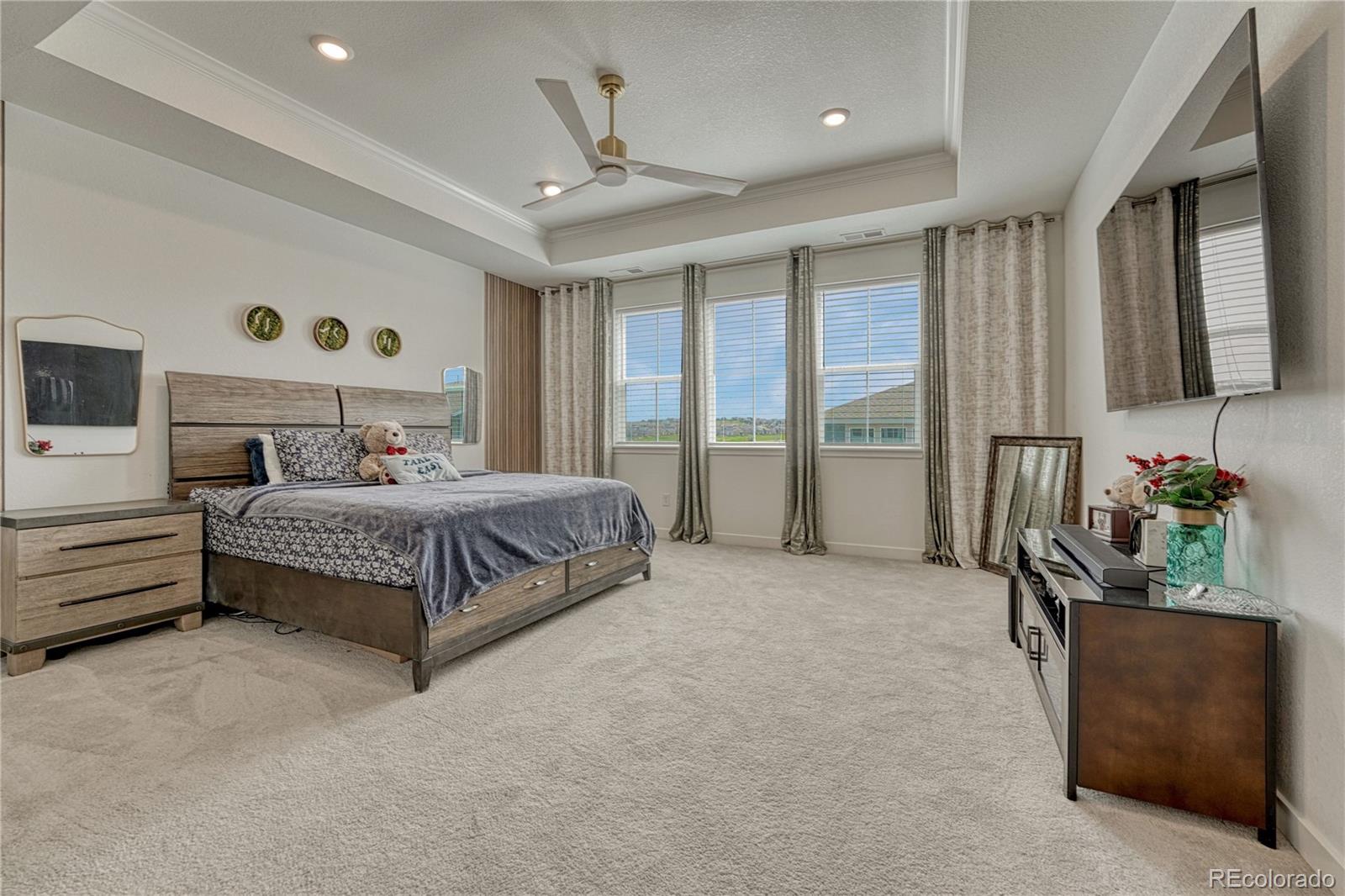 MLS Image #24 for 17194  desert wine lane,parker, Colorado