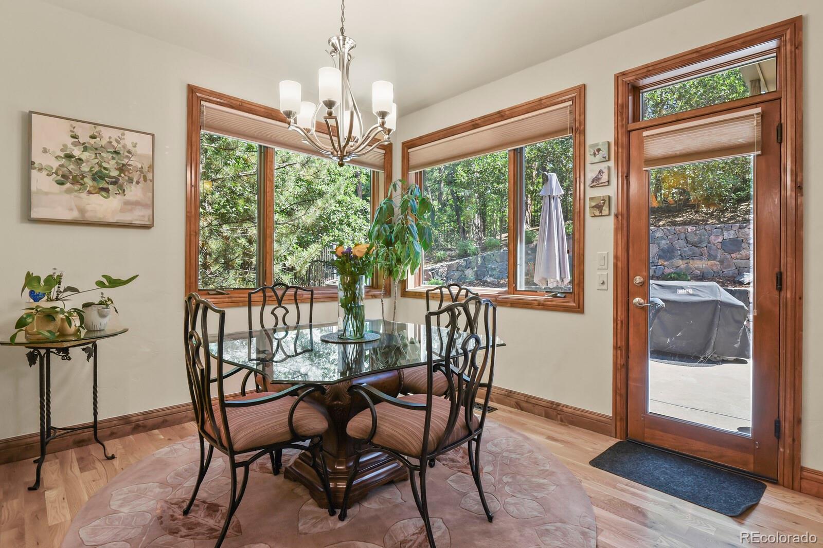 MLS Image #10 for 5276  red pass court,castle rock, Colorado