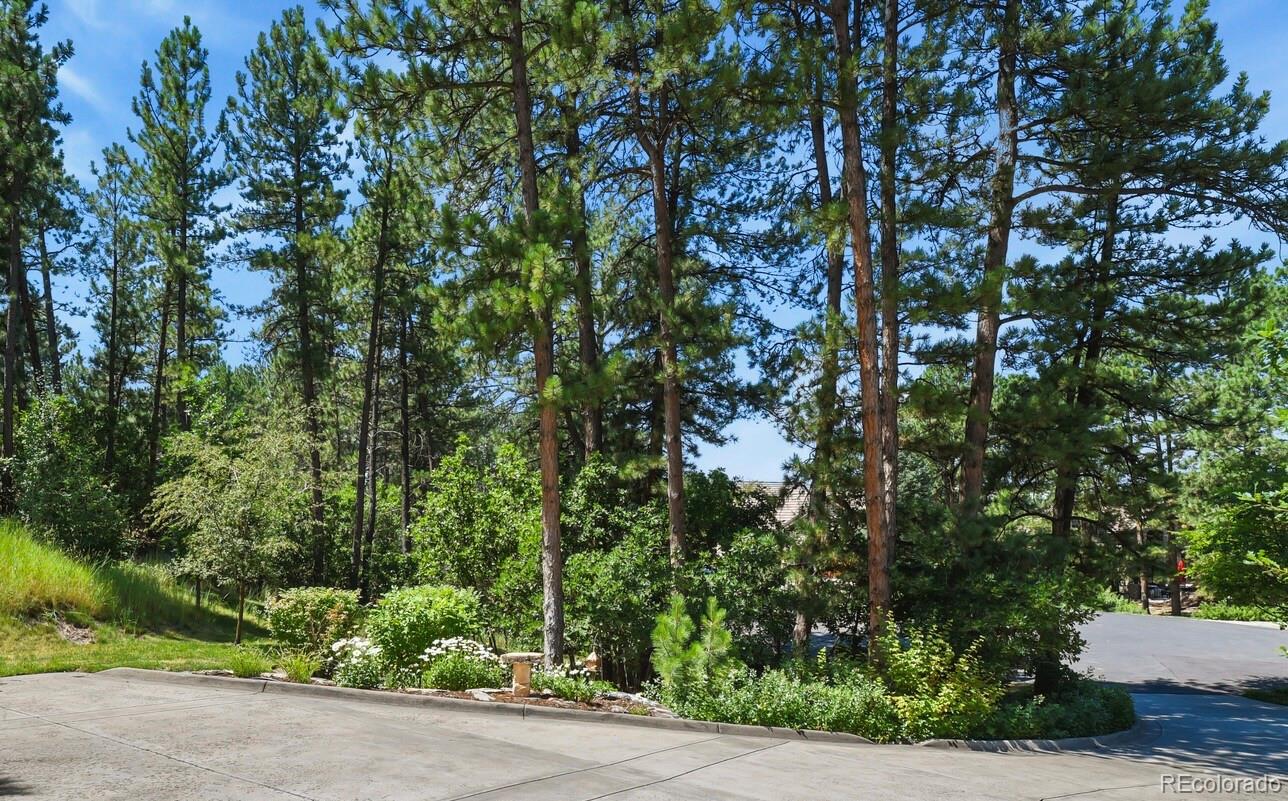 MLS Image #3 for 5276  red pass court,castle rock, Colorado
