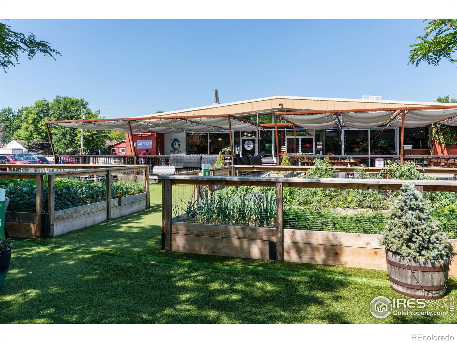 MLS Image #33 for 238 s buchanan avenue,louisville, Colorado
