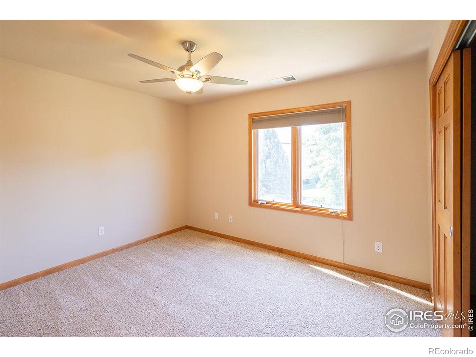 MLS Image #28 for 3321  muskrat creek drive,fort collins, Colorado