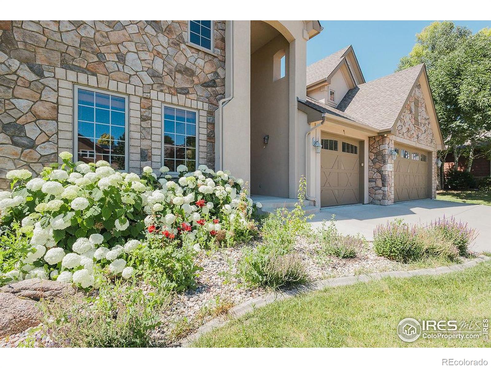 MLS Image #6 for 3321  muskrat creek drive,fort collins, Colorado