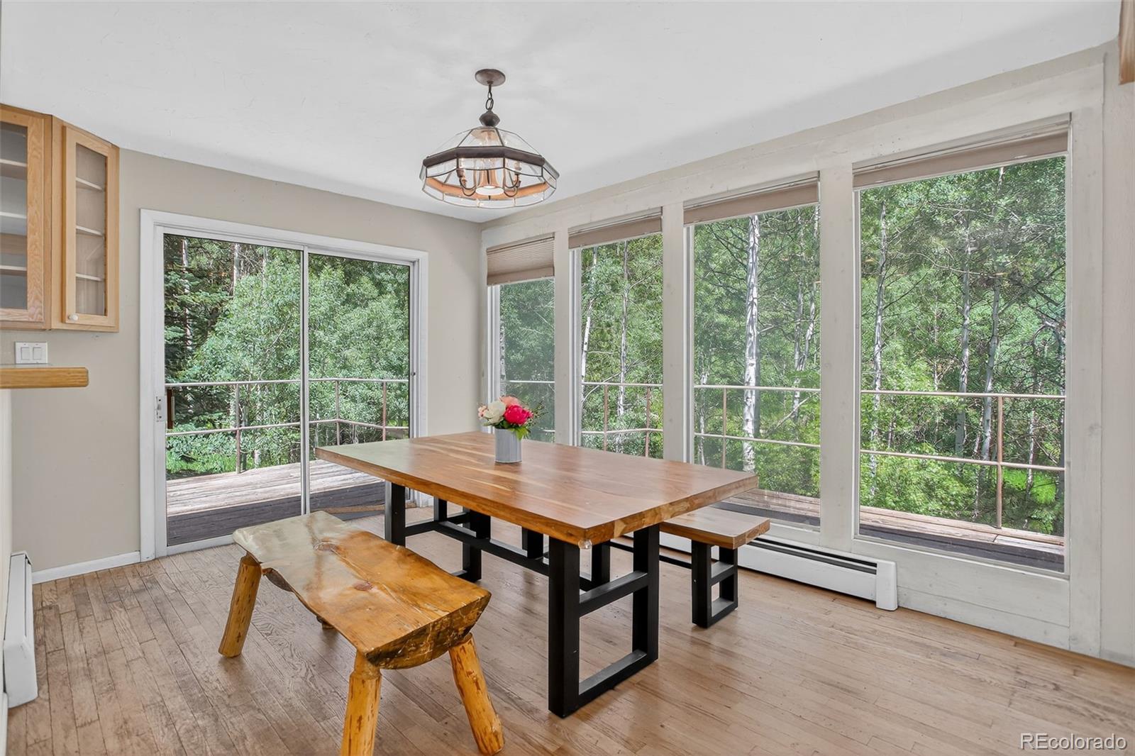 MLS Image #13 for 11701  spruce canyon circle,golden, Colorado