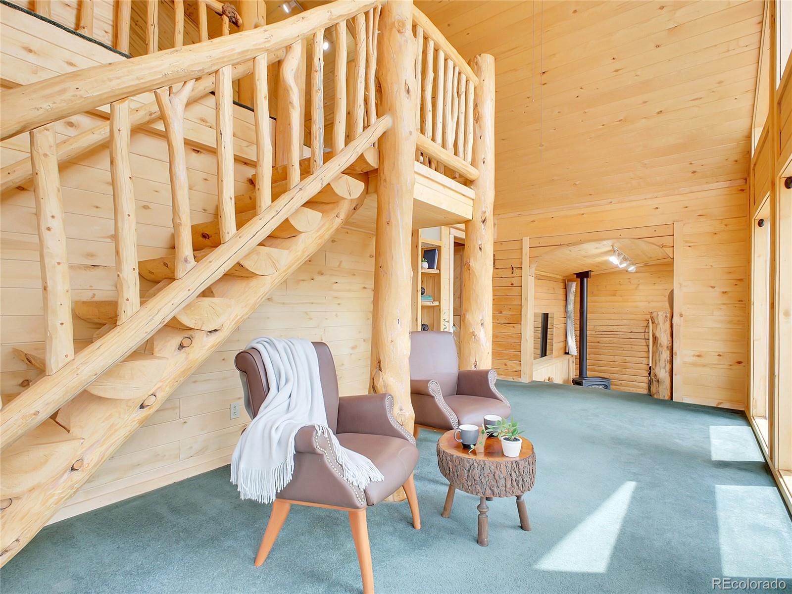 MLS Image #11 for 226  bandit lane,bailey, Colorado