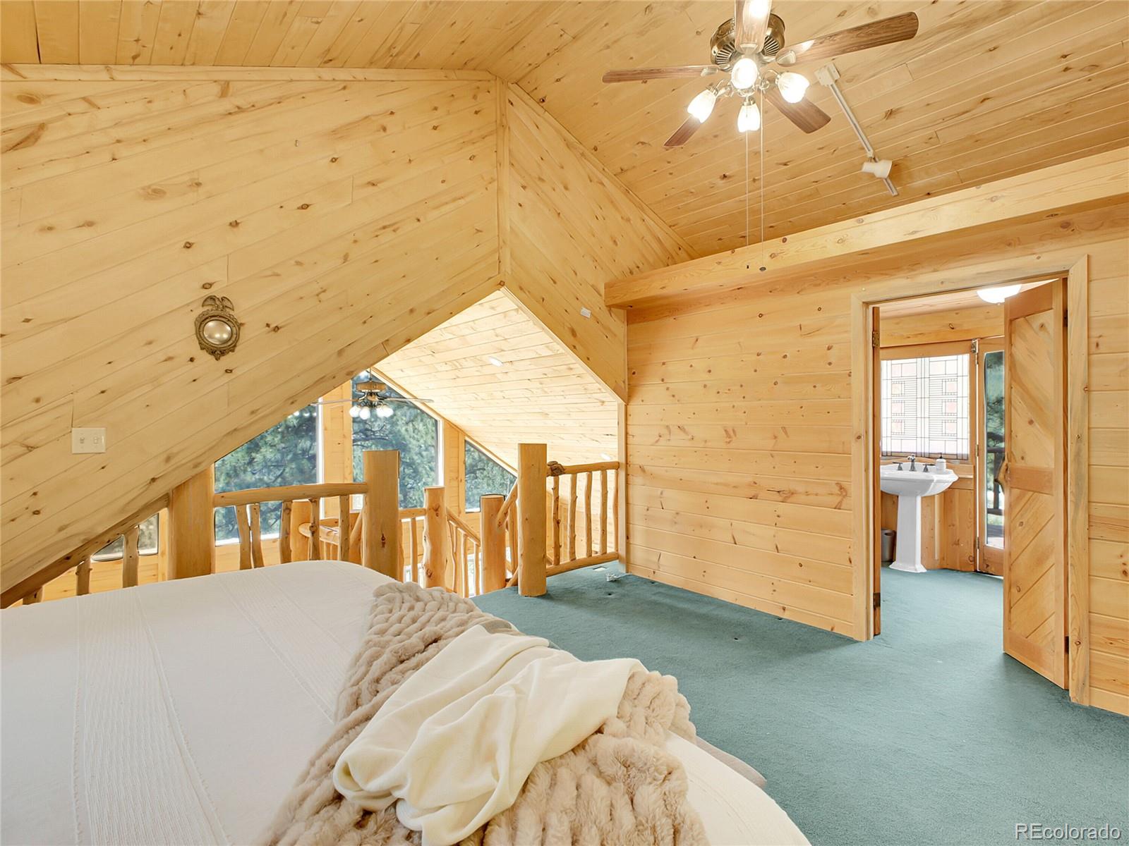 MLS Image #15 for 226  bandit lane,bailey, Colorado