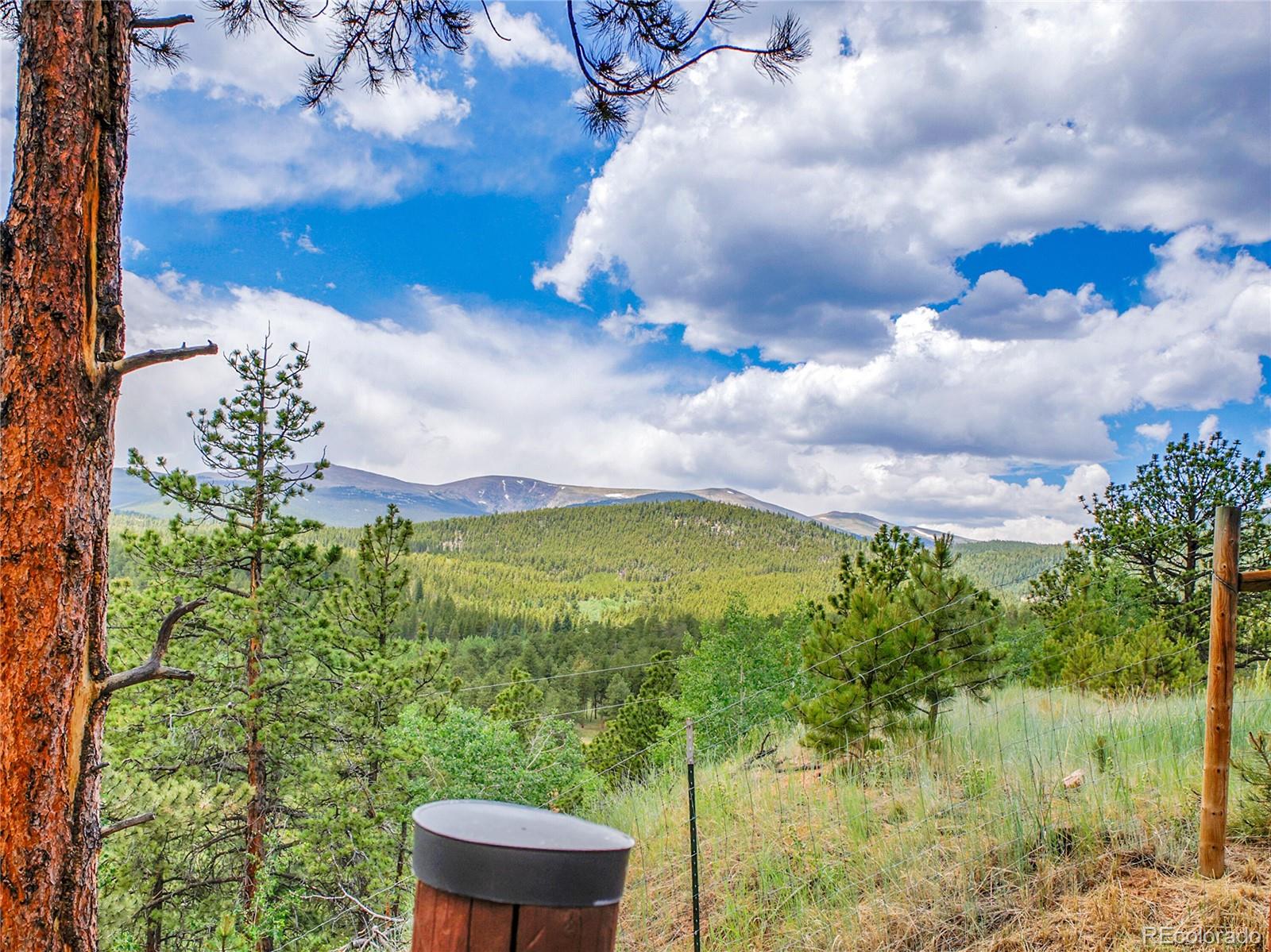 MLS Image #22 for 226  bandit lane,bailey, Colorado