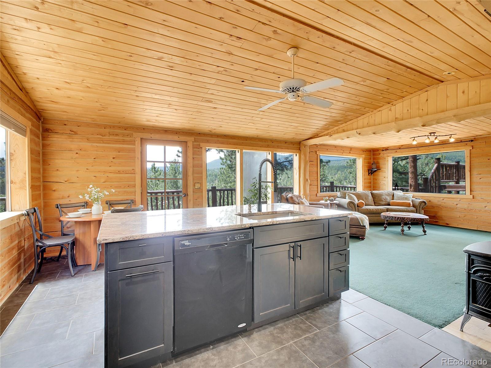 MLS Image #6 for 226  bandit lane,bailey, Colorado