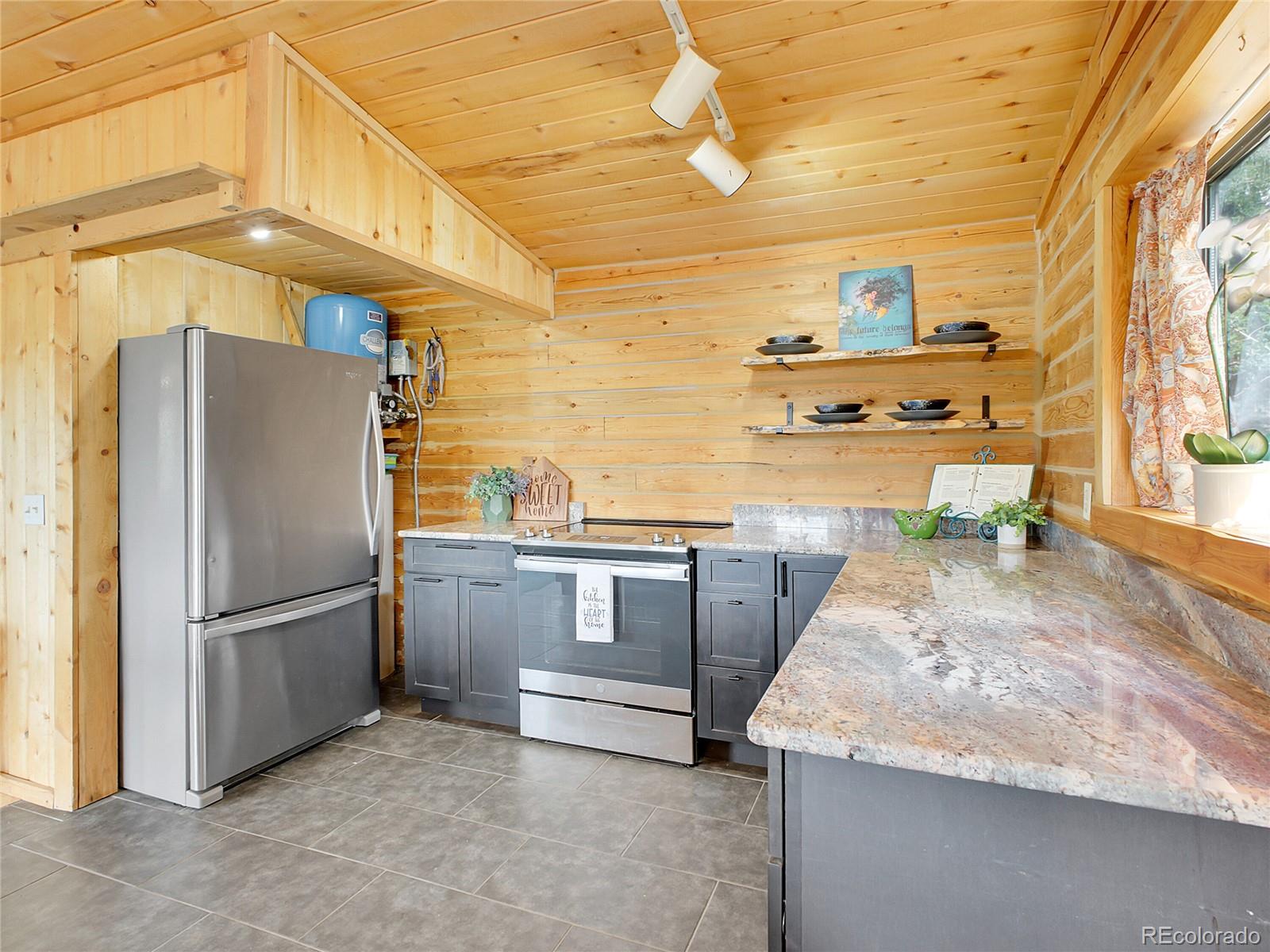 MLS Image #7 for 226  bandit lane,bailey, Colorado